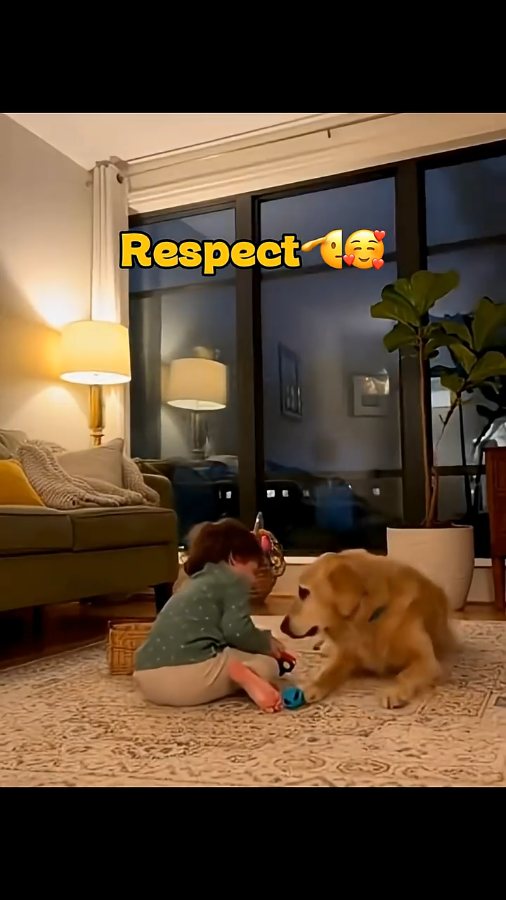 Times Dogs Proved They Have a Sixth Sense! ❤️🥰💥 (720p)
